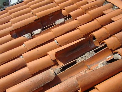 Coperture e tetti — foto 11 di 37